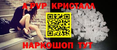спиды Моздок
