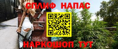 спиды Моздок