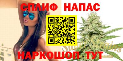 спиды Моздок