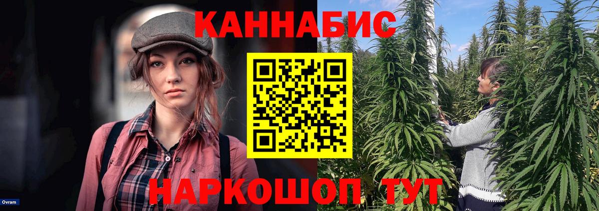 Волгоград  МАРИХУАНА сатива  Канабис планчик  Вход с VPN 